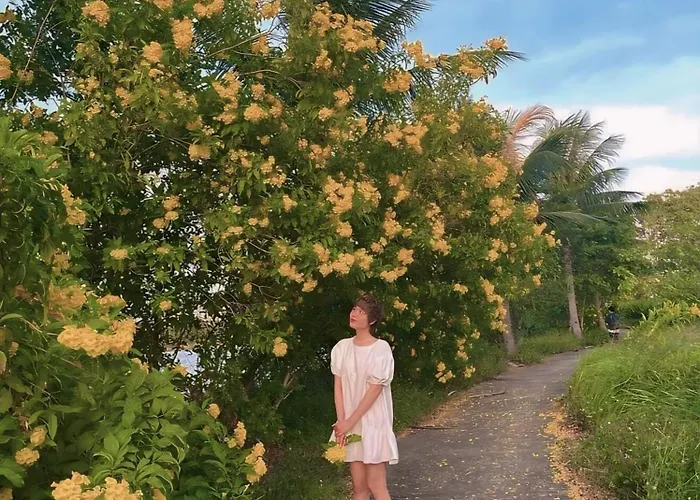 Luxury Chuoi Ho 2 3 5 Phong Ngu